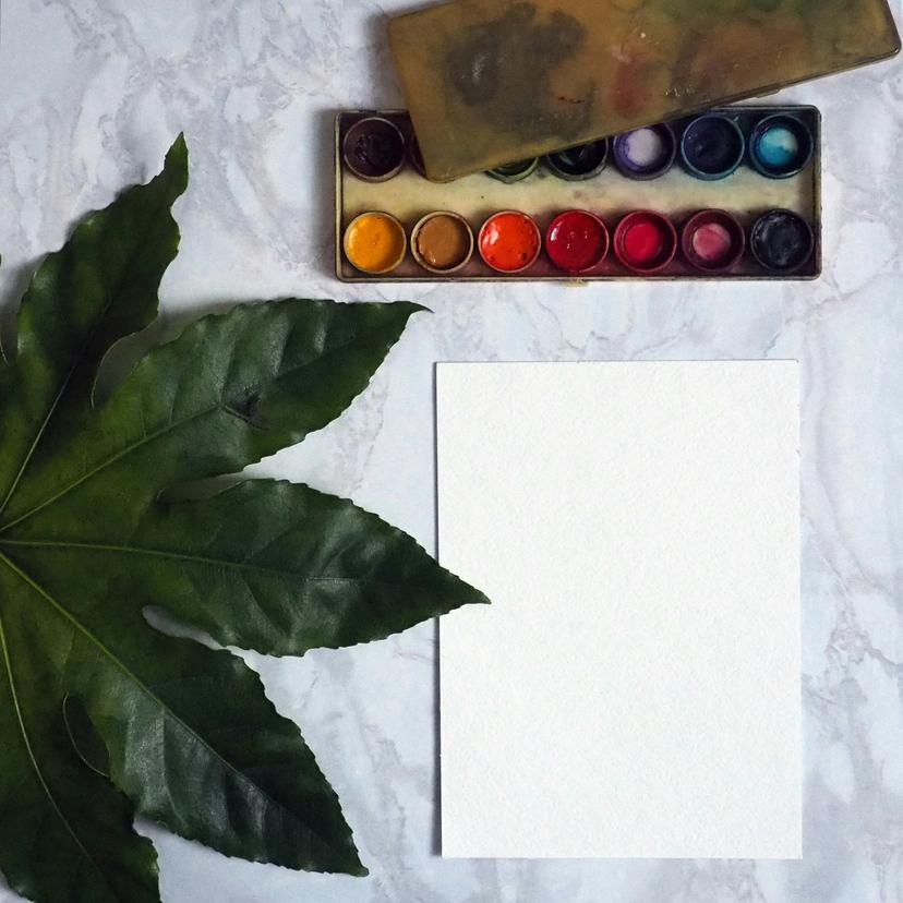 Afbeelding van een verfdoos, wit papier en een groen blad